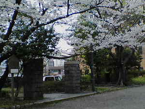動物園跡門と桜２.jpg